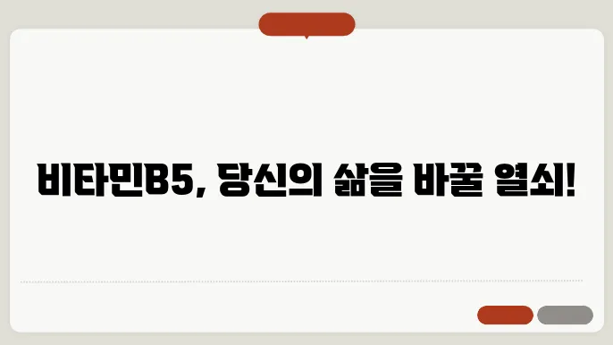 비타민B5 효능