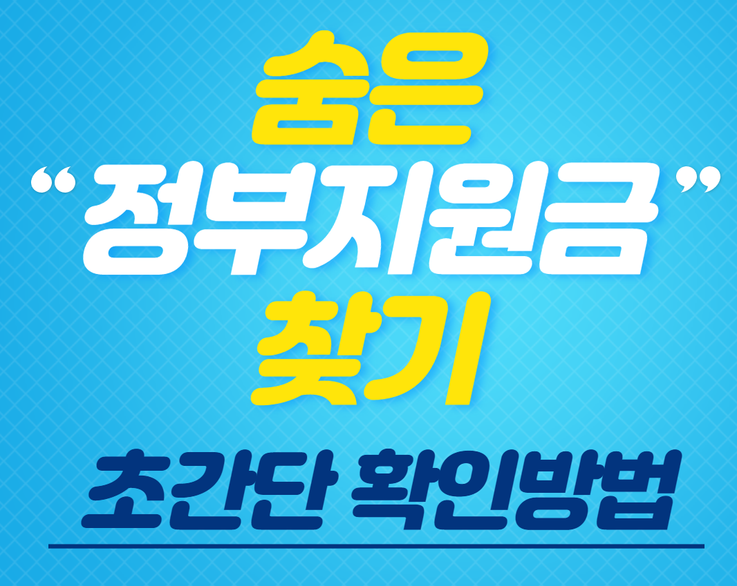 국가-지원금