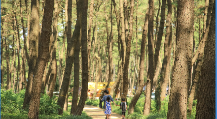 서천 가볼만한 곳