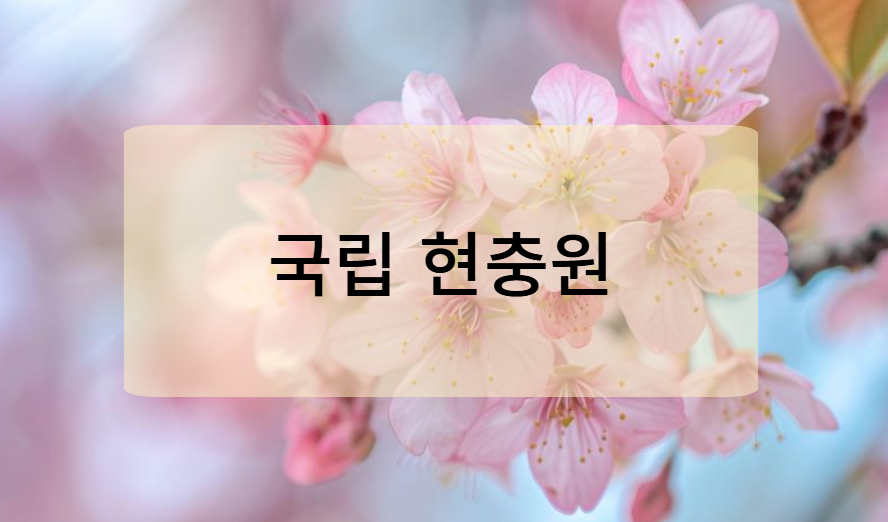 국립현충원 (서울 동작구)