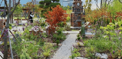 서울근교 단풍 명소 추천