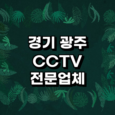 경기도 광주 cctv