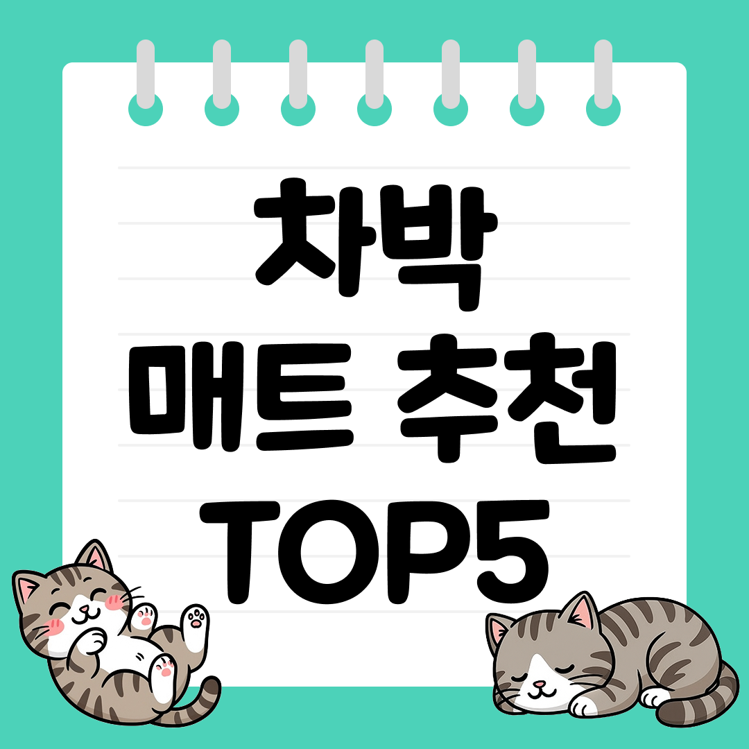 차박 매트 추천 순위 TOP5