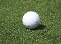 스크린 골프장 창업에 대하여 알아보기