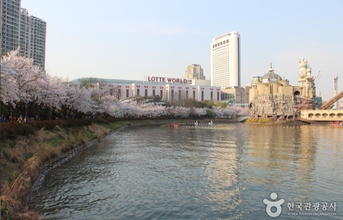 한국 관광공사 석촌호수 벚꽃축제 이미지