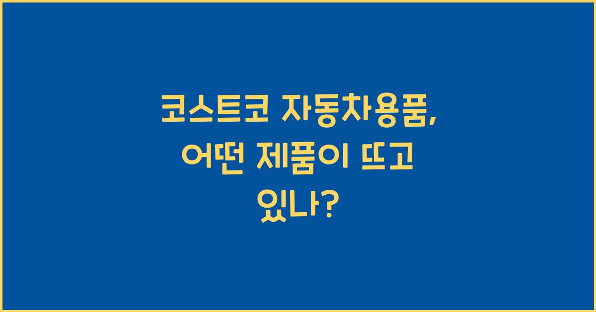 코스트코 자동차용품