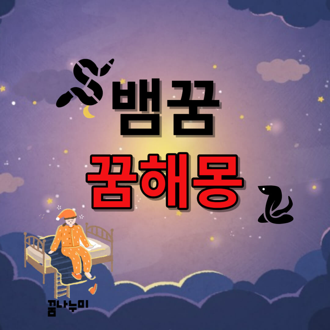 뱀꿈 꿈해몽