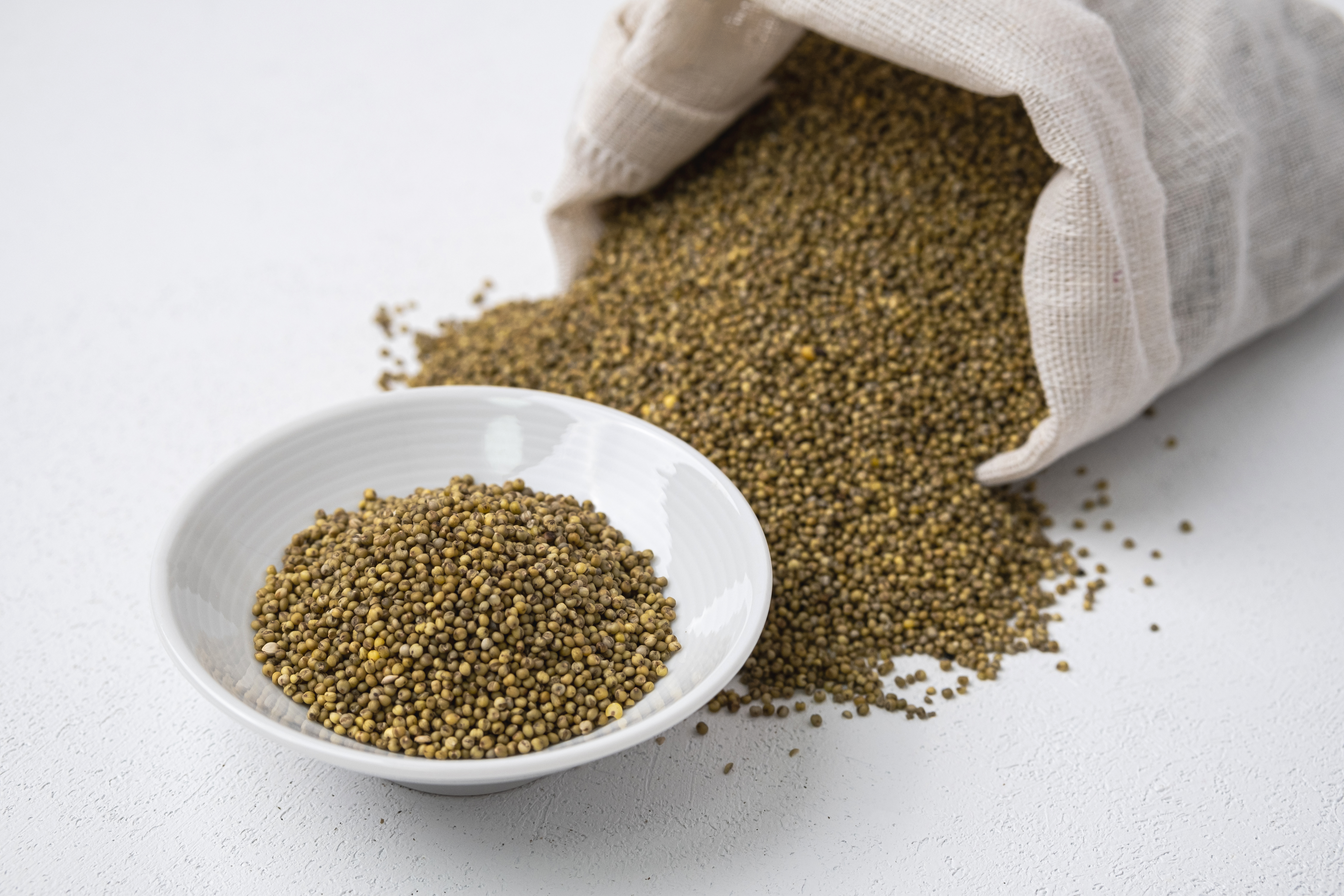 자루에서 쏟아져 나오는 차조와 그릇에 담긴 차조 사진 - 소음인(少陰人)에게 맞는 음식