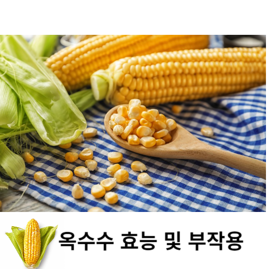 옥수수효능