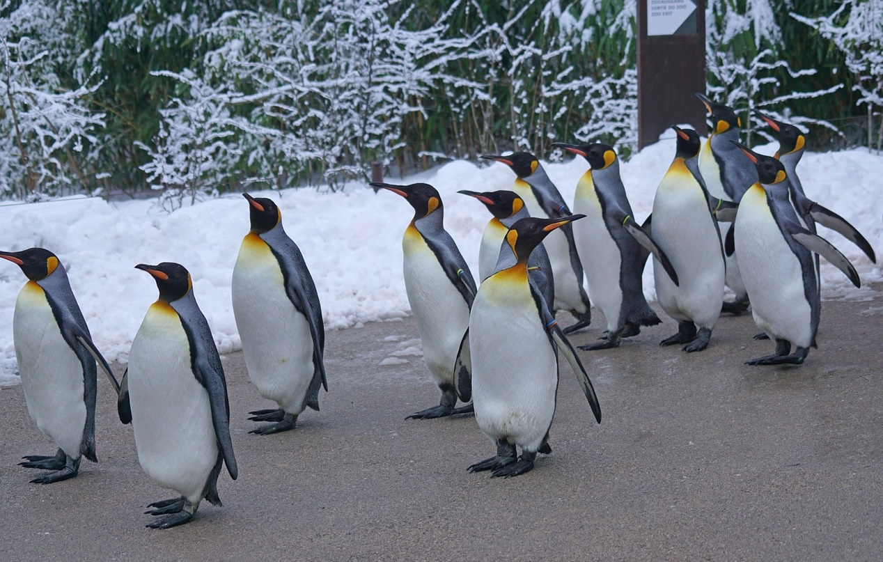 빙하가 사라지면 폭우와 가뭄이 동시에 늘어나는 이유!
