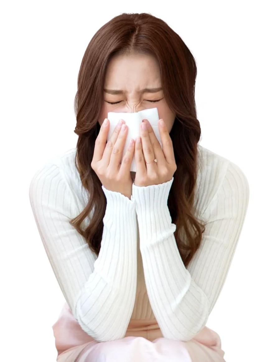 비염 알레르기 증상 사진