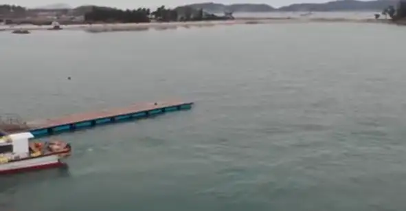 달리도