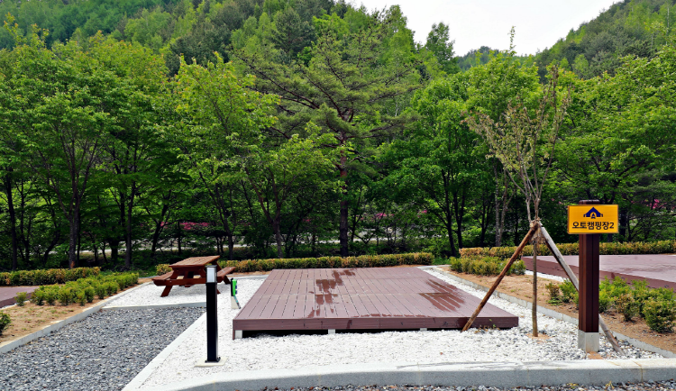 태백고원 자연휴양림