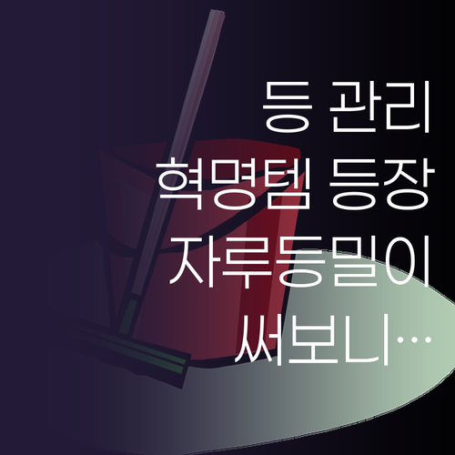 자루등밀이 써보니… 등 관리, 이젠 ..