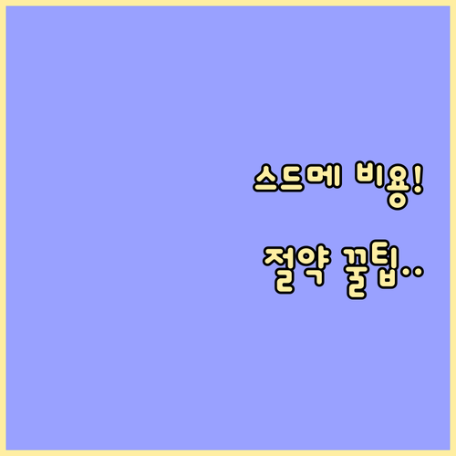 성공적인 웨딩 준비를 위한 스드메 비..