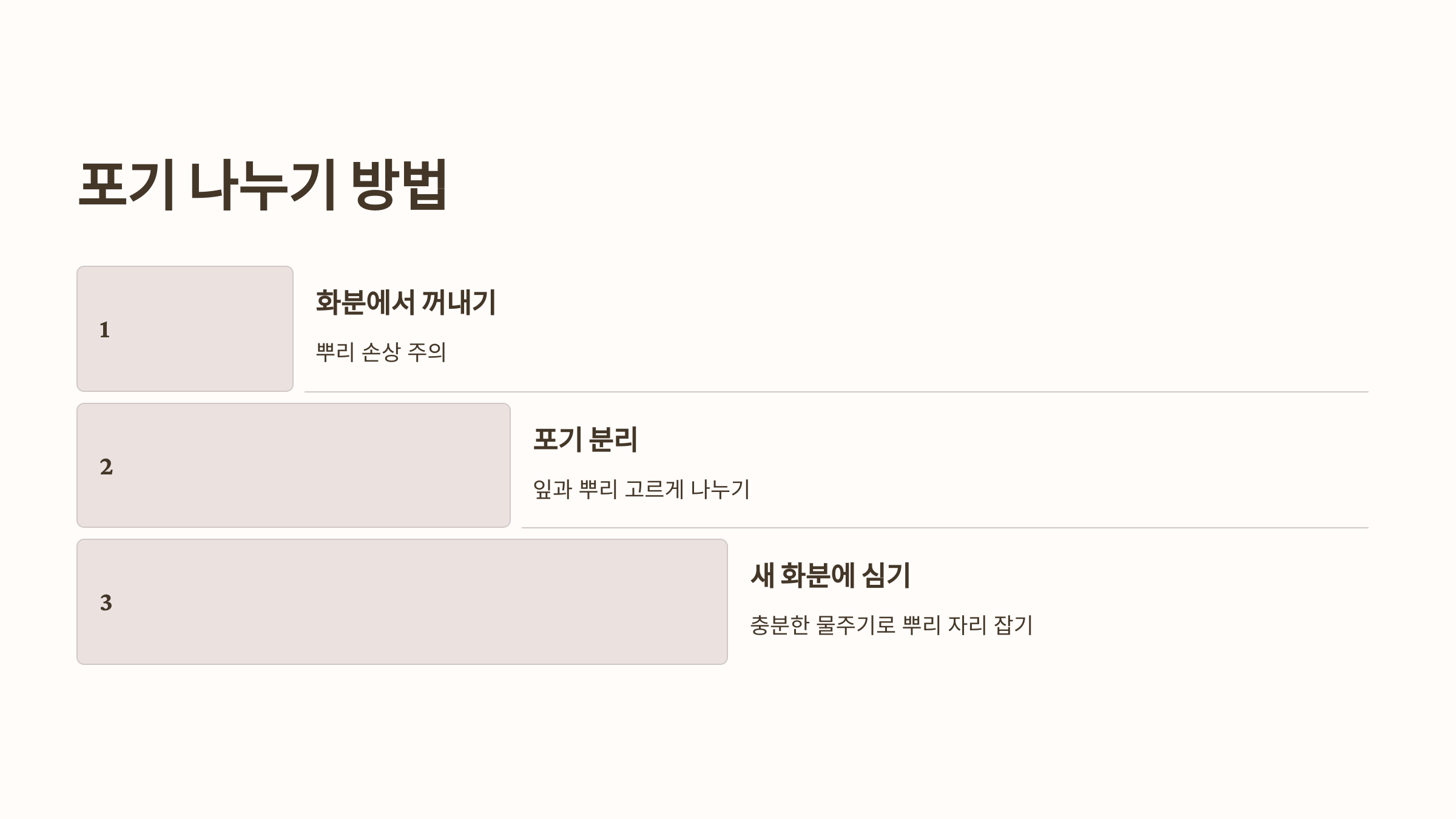 스파티필름과 관련된 사진입니다.