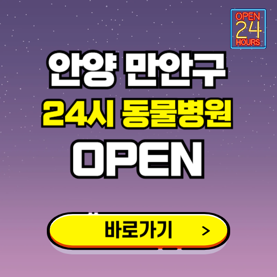 안양시 만안구 24시 동물병원 진료하는 곳 ❘ 설날 휴일 야간 심야 문여는곳 찾기 ❘ 응급진료
