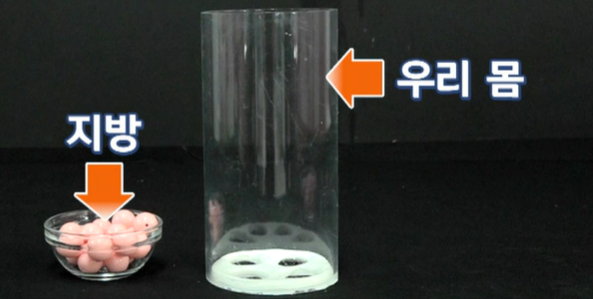 모로실 효능