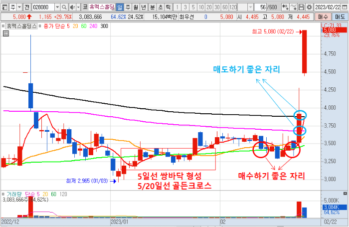 2월 22일 휴맥스홀딩스 주가 일봉 차트