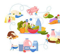 식품위생교육 온라인교육 바로가기