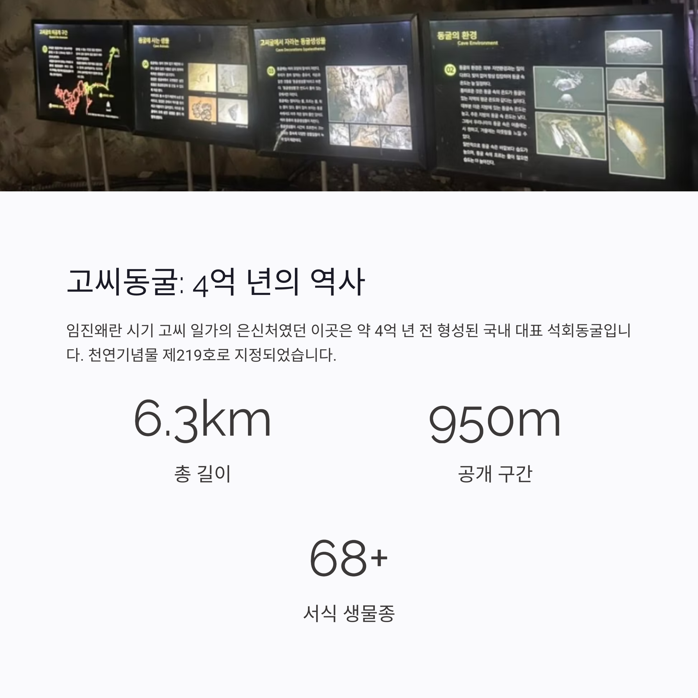 고씨동굴 : 4억 년의 역사