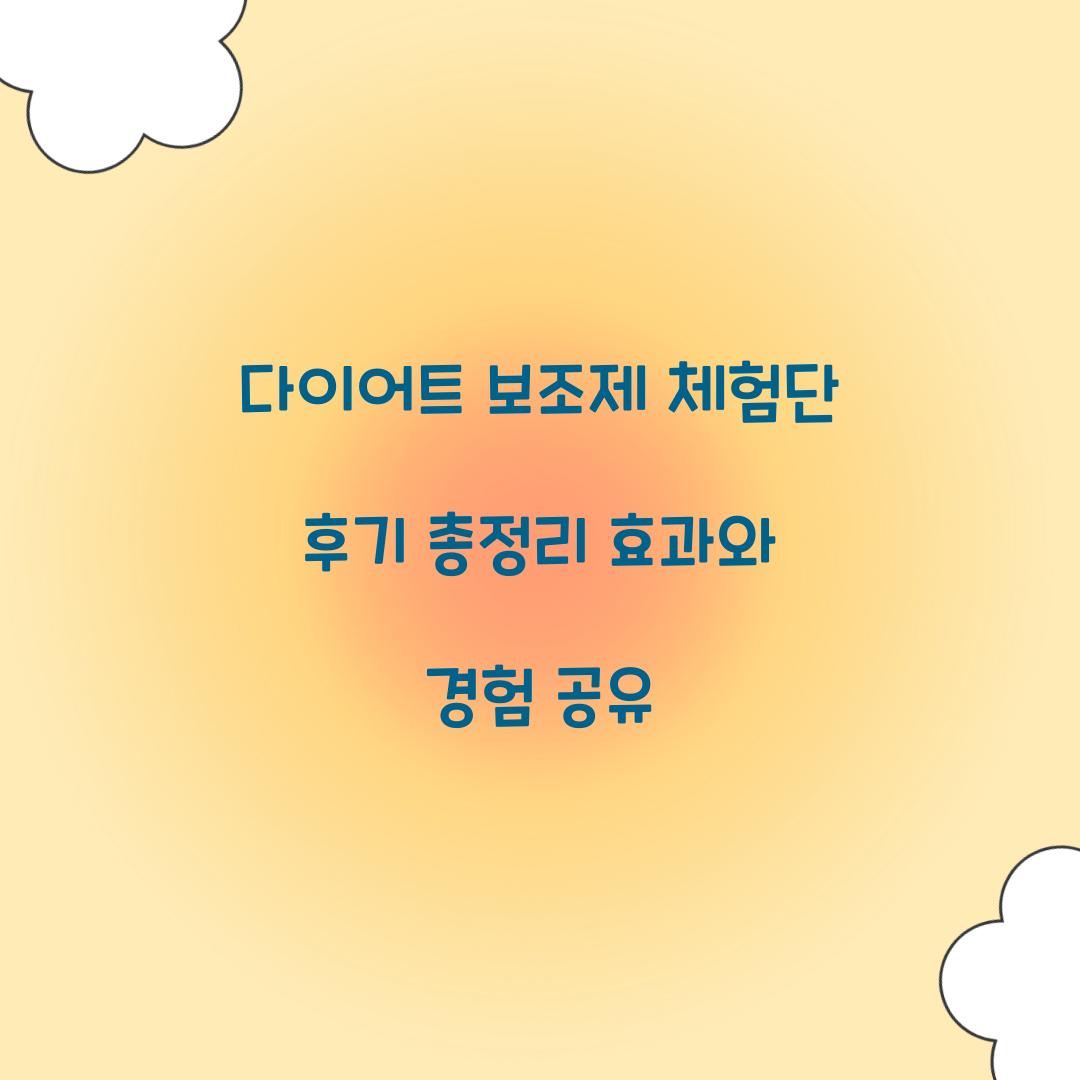 다이어트 보조제 체험단 후기 총정리