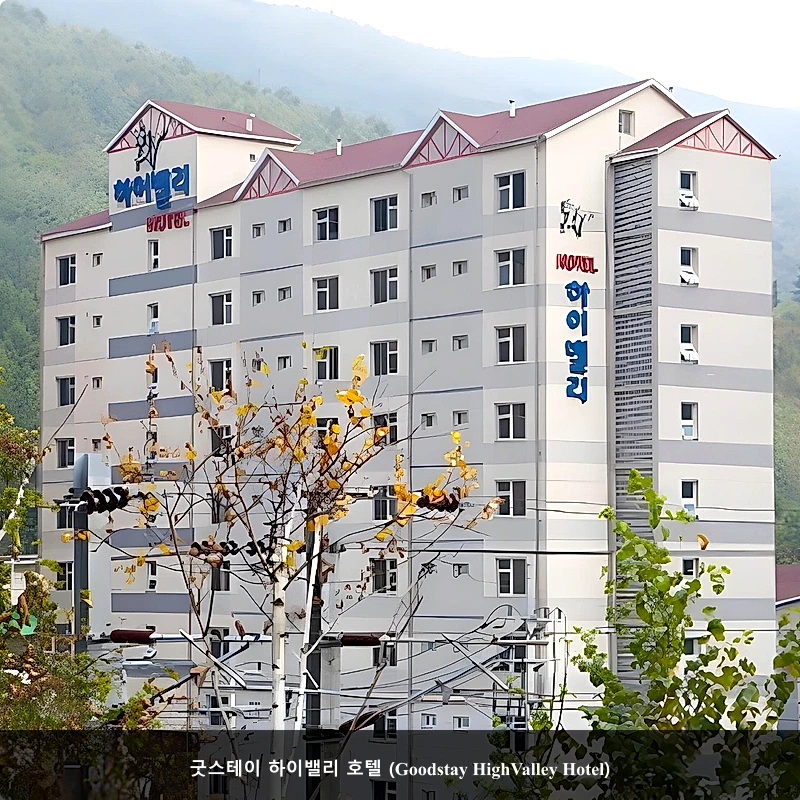 굿스테이 하이밸리 호텔 (Goodstay HighValley Hotel)_5