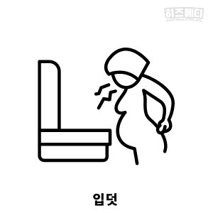 입덧 시기 증상 관리