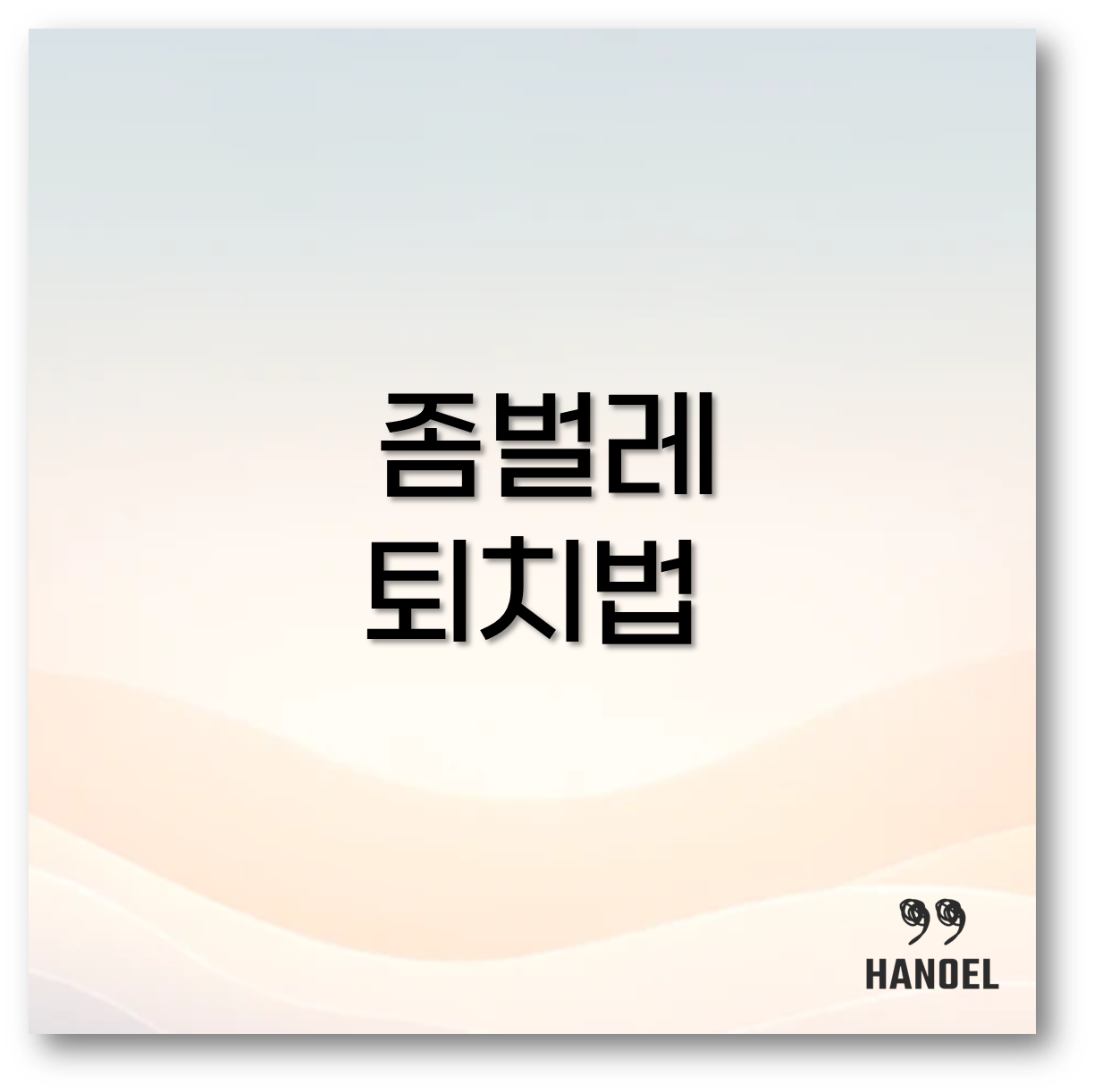 좀벌레 퇴치법