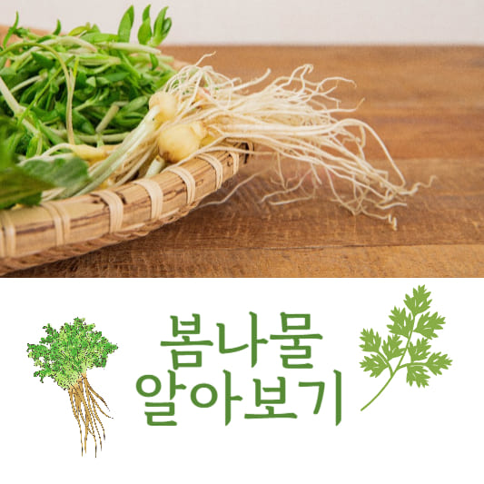 봄나물