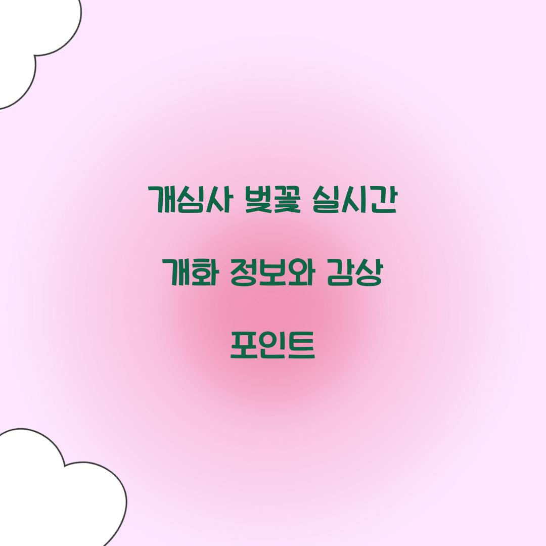 개심사 벚꽃