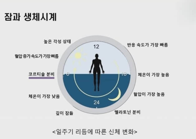 자는 동안 몽의 변화