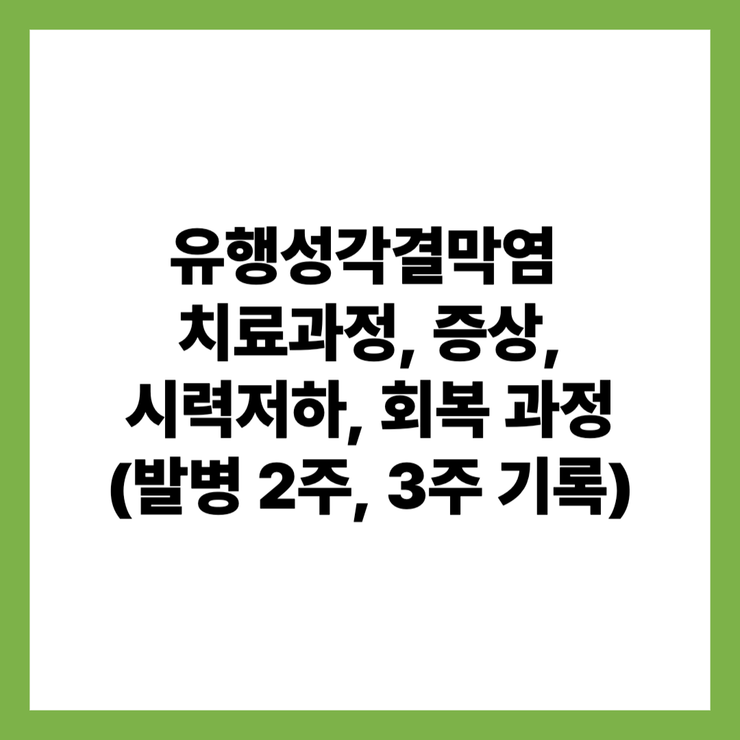유행성각결막염 치료과정 증상 시력저하 회복과정 발병2주 3주 기록