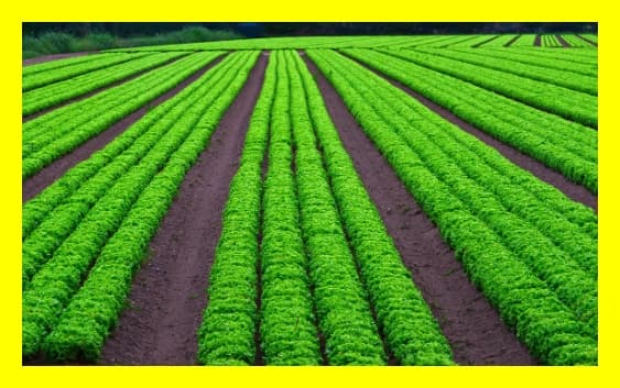 EcoVadis 평가 항목과 점수체계 완전 해설: 협력사 대응 전략