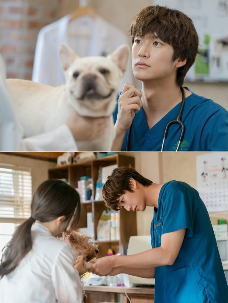 모텔 캘리포니아