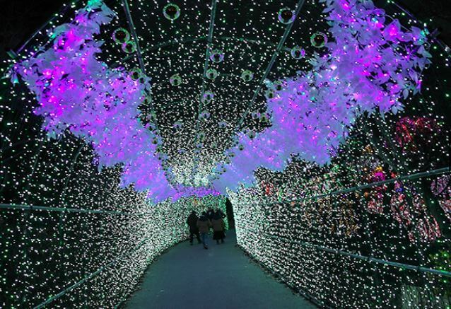 아침고요수목원 오색별빛정원전