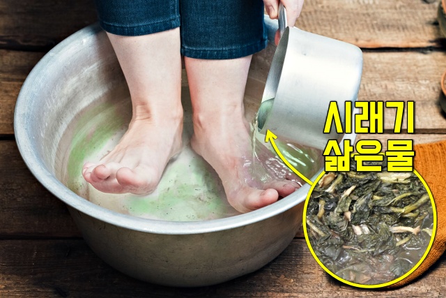 시래기 효능 시래기 삶은물 족욕 반식욕, 생활 건강 팁줌 매일꿀정보