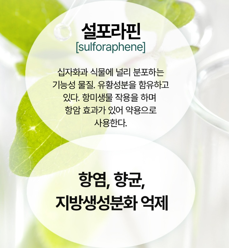 김성령 콩물 효능 및 부작용