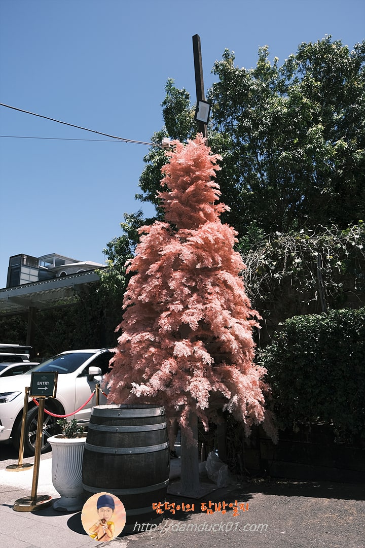 더 그라운즈 오브 알렉산드리아(The Grounds of Alexandria)