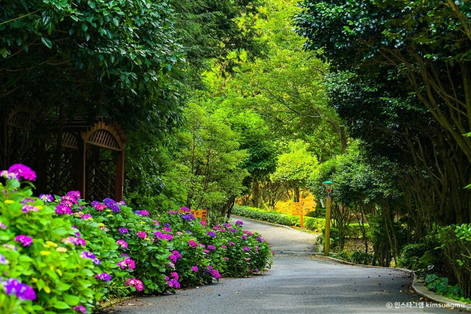 장흥 가볼만한곳 베스트10