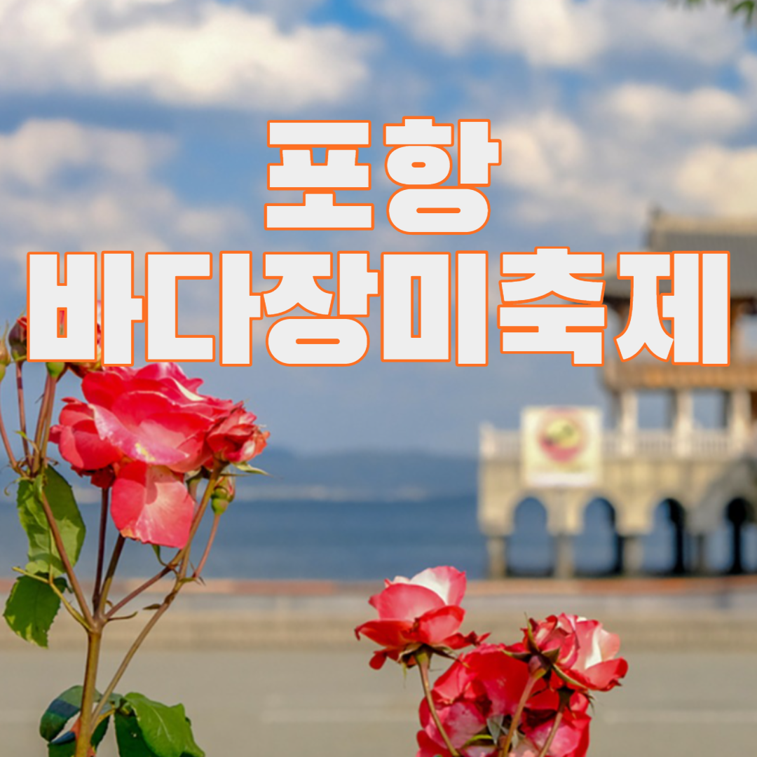 포항 바다장미축제