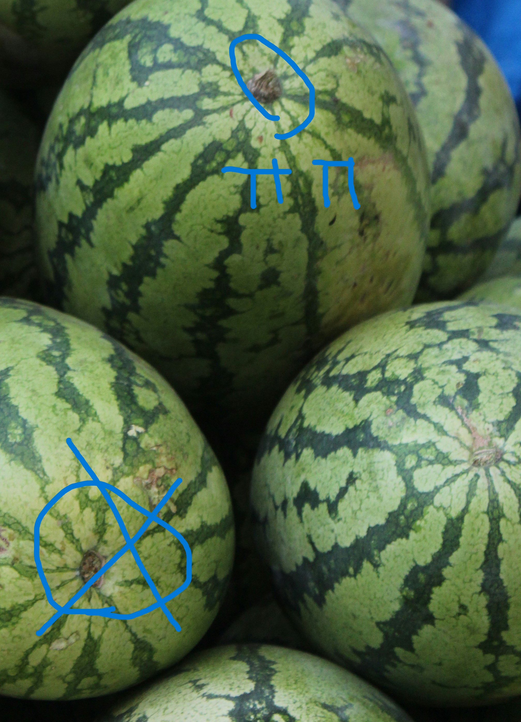 수박 심이 많은 수박