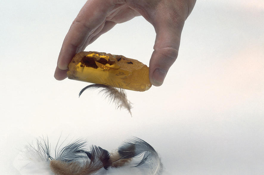 호박으로 발견한 정전기 현상