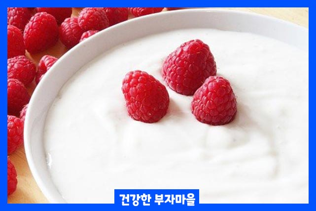 요거트
