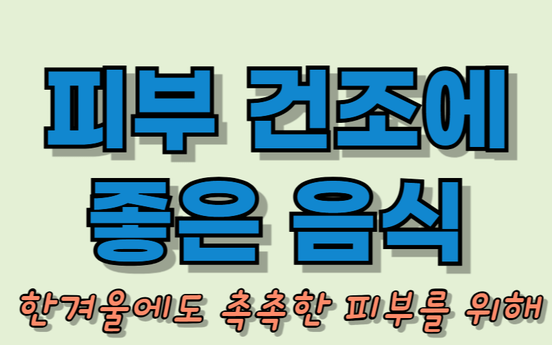 피부 건조에 좋은 음식