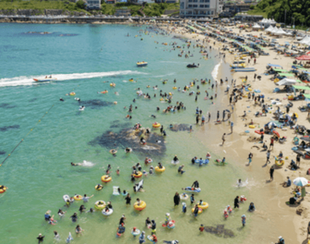 해수욕장 개장일정