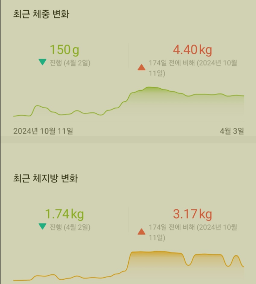 스위치온 갱년기 다이어트 2주 11일차