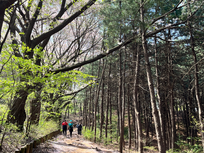 안산 등산로