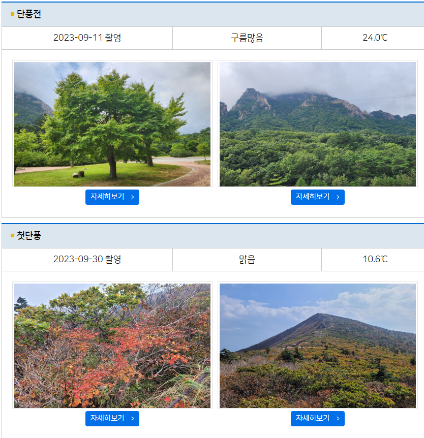 단풍절정시기