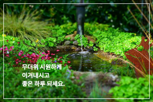 정원의 작은 연못